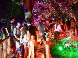 Agéndese: el Safari Nocturno regresa al Zoo de Barranquilla este 31 de julio y 1 de agosto