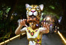 Safari Nocturno 2026: La experiencia bajo las estrellas del Zoológico de Barranquilla