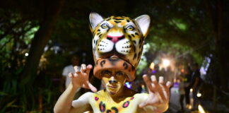 Safari Nocturno 2026: La experiencia bajo las estrellas del Zoológico de Barranquilla