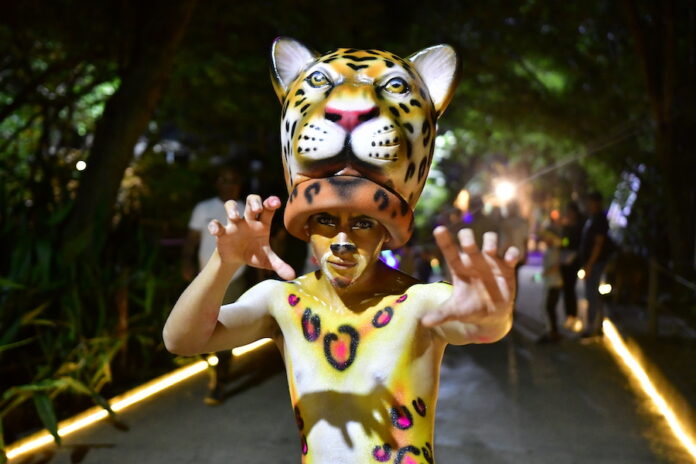 Safari Nocturno 2026: La experiencia bajo las estrellas del Zoológico de Barranquilla