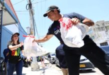Barranquilla se solidariza tras el sismo: enviará 50 toneladas de ayuda y habilita centro de acopio 24/7
