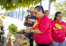 Barranquilla abre inscripciones todo el año para la red de huertas comunitarias ‘ECORAZÓN’