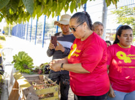Barranquilla abre inscripciones todo el año para la red de huertas comunitarias ‘ECORAZÓN’