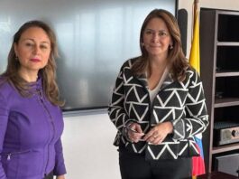 Mónica Lombana García asume como Superintendente de Salud encargada