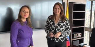 Mónica Lombana García asume como Superintendente de Salud encargada