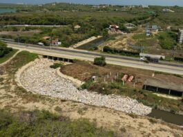 Multarán con casi $1 millón a los ciudadanos que arrojen basura al arroyo León Multarán con casi $1 millón a los ciudadanos que arrojen basura al arroyo León