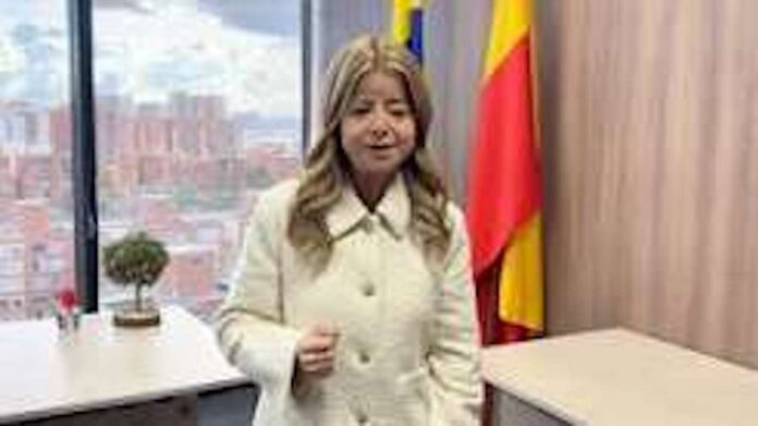 Ministerio de Transporte frena los CALE y evita alza en licencias de conducción que superarían los $2 millones Ministerio de Transporte frena los CALE y evita alza en licencias de conducción que superarían los $2 millones
