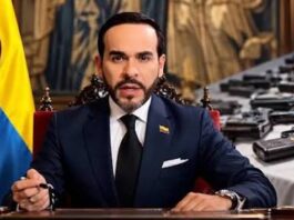 ¡Vuelve el porte de armas! MinDefensa levanta la suspensión general de permisos en todo el país ¡Vuelve el porte de armas! MinDefensa levanta la suspensión general de permisos en todo el país