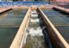 Avanza inspección sanitaria a 25 de las 31 plantas de agua potable en el Atlántico Avanza inspección sanitaria a 25 de las 31 plantas de agua potable en el Atlántico